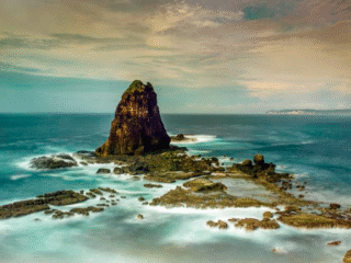 wisata jember
