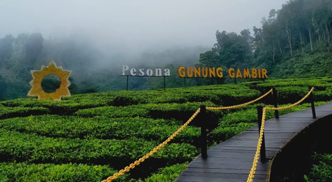 wisata jember