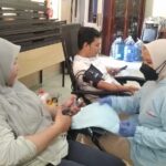 pmi jember